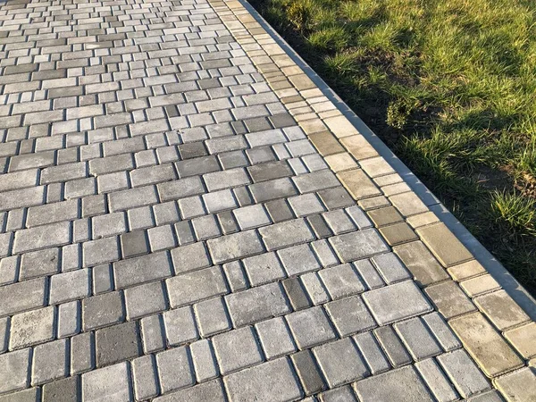 Yeşil bitkilerle dolu bahçe taşı patikası, gündüz vakti tuğla kaldırım. 