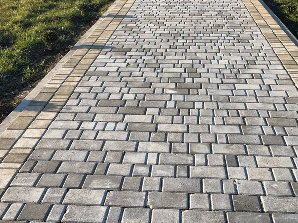 Yeşil bitkilerle dolu bahçe taşı patikası, gündüz vakti tuğla kaldırım. 