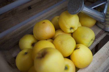 Tahta bir kutuda olgun elmalar, yakın plan.