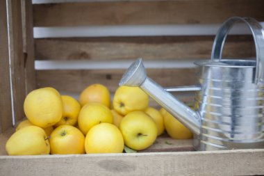 Tahta bir kutuda olgun elmalar, yakın plan.