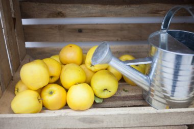 Tahta bir kutuda olgun elmalar, yakın plan.