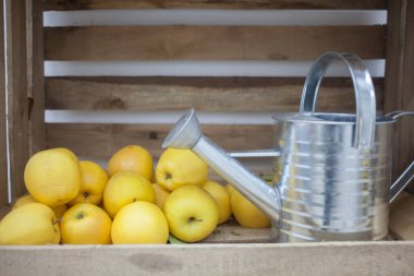 Tahta bir kutuda olgun elmalar, yakın plan.