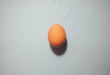 Beyaz arka planda çiğ yumurta. Tasarım, görsel sanat, minimalizm