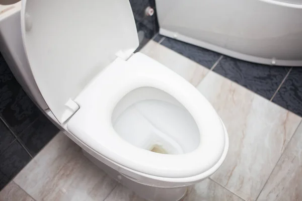 Toilet Bowl Modern Bathroom Interior — Stock Photo, Image