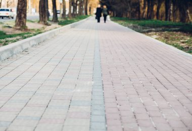 Yeşil bitkilerle dolu bahçe taşı patikası, gündüz vakti tuğla kaldırım. 