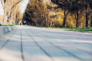 Yeşil bitkilerle dolu bahçe taşı patikası, gündüz vakti tuğla kaldırım. 