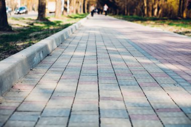 Yeşil bitkilerle dolu bahçe taşı patikası, gündüz vakti tuğla kaldırım. 