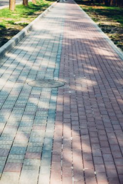 Yeşil bitkilerle dolu bahçe taşı patikası, gündüz vakti tuğla kaldırım. 