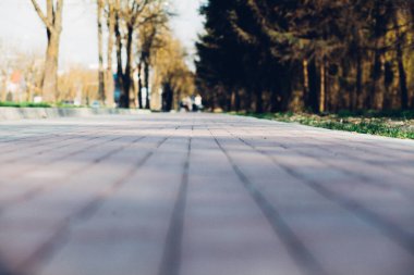 Yeşil bitkilerle dolu bahçe taşı patikası, gündüz vakti tuğla kaldırım. 
