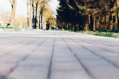 Yeşil bitkilerle dolu bahçe taşı patikası, gündüz vakti tuğla kaldırım. 