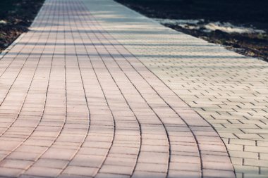 Yeşil bitkilerle dolu bahçe taşı patikası, gündüz vakti tuğla kaldırım. 