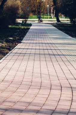 Yeşil bitkilerle dolu bahçe taşı patikası, gündüz vakti tuğla kaldırım. 