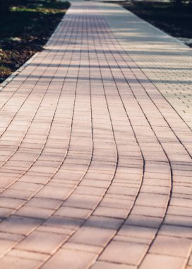 Yeşil bitkilerle dolu bahçe taşı patikası, gündüz vakti tuğla kaldırım. 