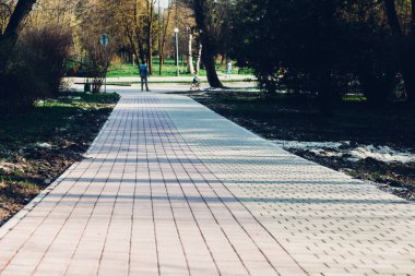 Yeşil bitkilerle dolu bahçe taşı patikası, gündüz vakti tuğla kaldırım. 