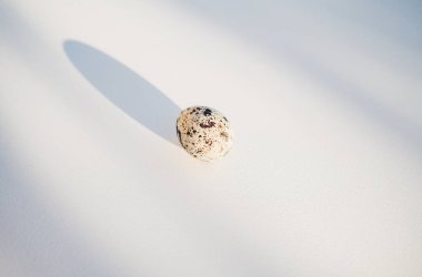 Bıldırcın yumurta beyaz zemin üzerine