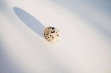 Bıldırcın yumurta beyaz zemin üzerine