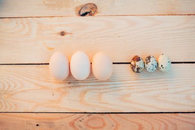 Bıldırcın ve tavuk yumurtası yakın plan.