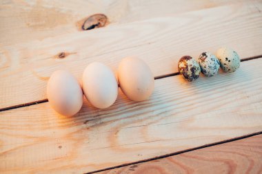 Bıldırcın ve tavuk yumurtası yakın plan.