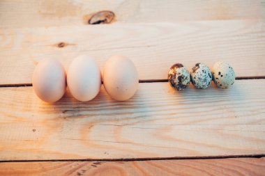 Bıldırcın ve tavuk yumurtası yakın plan.