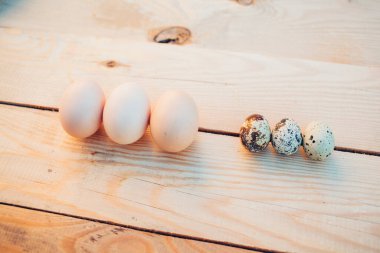 Bıldırcın ve tavuk yumurtası yakın plan.