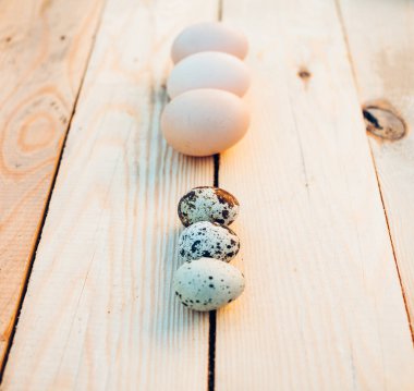 Bıldırcın ve tavuk yumurtası yakın plan.