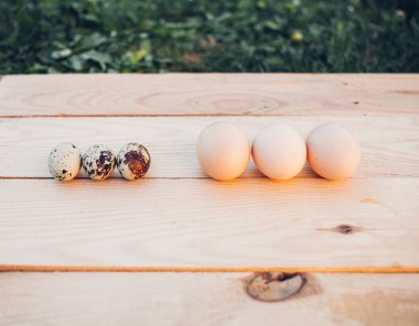 Bıldırcın ve tavuk yumurtası yakın plan.