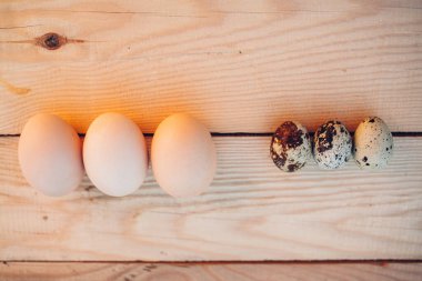 Bıldırcın ve tavuk yumurtası yakın plan.