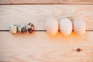 Bıldırcın ve tavuk yumurtası yakın plan.