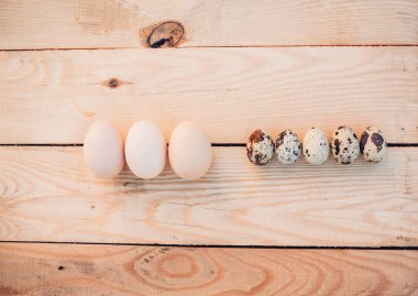 Bıldırcın ve tavuk yumurtası yakın plan.