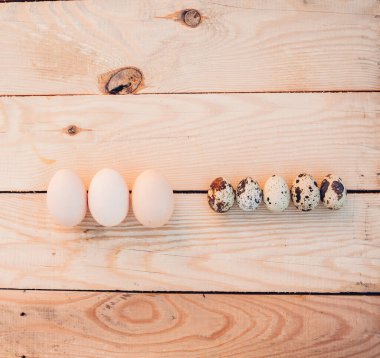 Bıldırcın ve tavuk yumurtası yakın plan.