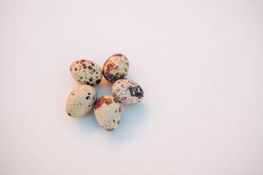 Beyaz arka planda bıldırcın yumurtaları