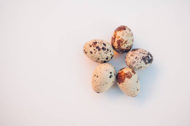 Beyaz arka planda bıldırcın yumurtaları