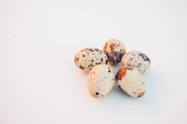 Beyaz arka planda bıldırcın yumurtaları