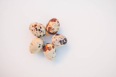 Beyaz arka planda bıldırcın yumurtaları