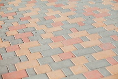 Gündüz vakti şık bahçede yuva yapmış kaldırımlar