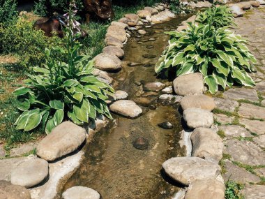 Köprüsü ve parktaki yolu olan küçük bir dere.