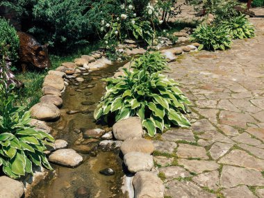 Köprüsü ve parktaki yolu olan küçük bir dere.