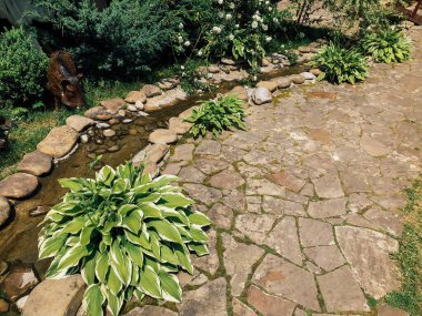 Köprüsü ve parktaki yolu olan küçük bir dere.