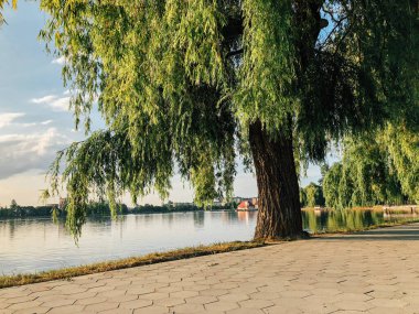 Parktaki döşeme ve döşeme yolu ile süslenmiş