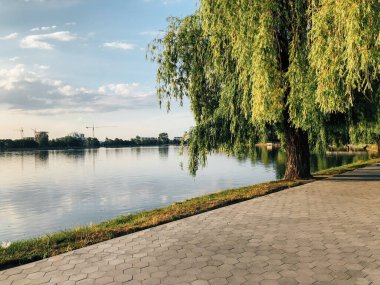 Parktaki döşeme ve döşeme yolu ile süslenmiş