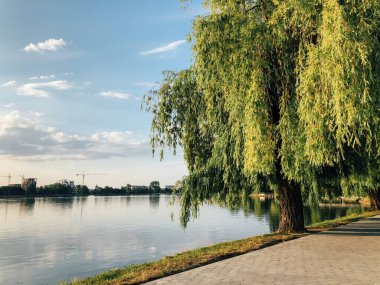 Parktaki döşeme ve döşeme yolu ile süslenmiş