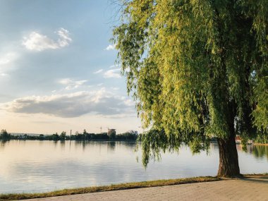 Parktaki döşeme ve döşeme yolu ile süslenmiş