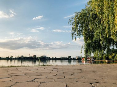 Parktaki döşeme ve döşeme yolu ile süslenmiş
