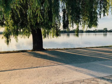 Parktaki döşeme ve döşeme yolu ile süslenmiş