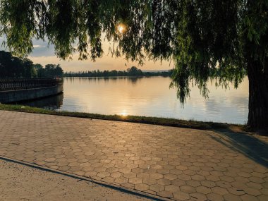 Parktaki döşeme ve döşeme yolu ile süslenmiş