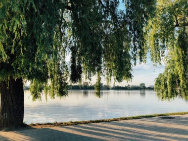 Parktaki döşeme ve döşeme yolu ile süslenmiş