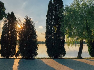 Parktaki döşeme ve döşeme yolu ile süslenmiş