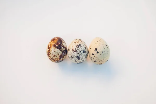Перепелиные Яйца Белом Фоне — стоковое фото