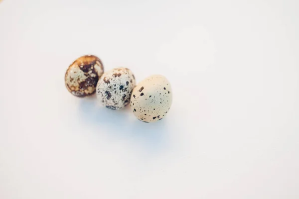 Quail Eggs White Background — Stock Photo, Image