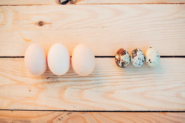 Closeup Quail Chicken Eggs — стоковое фото